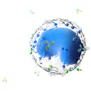 ind_news_icon.png
